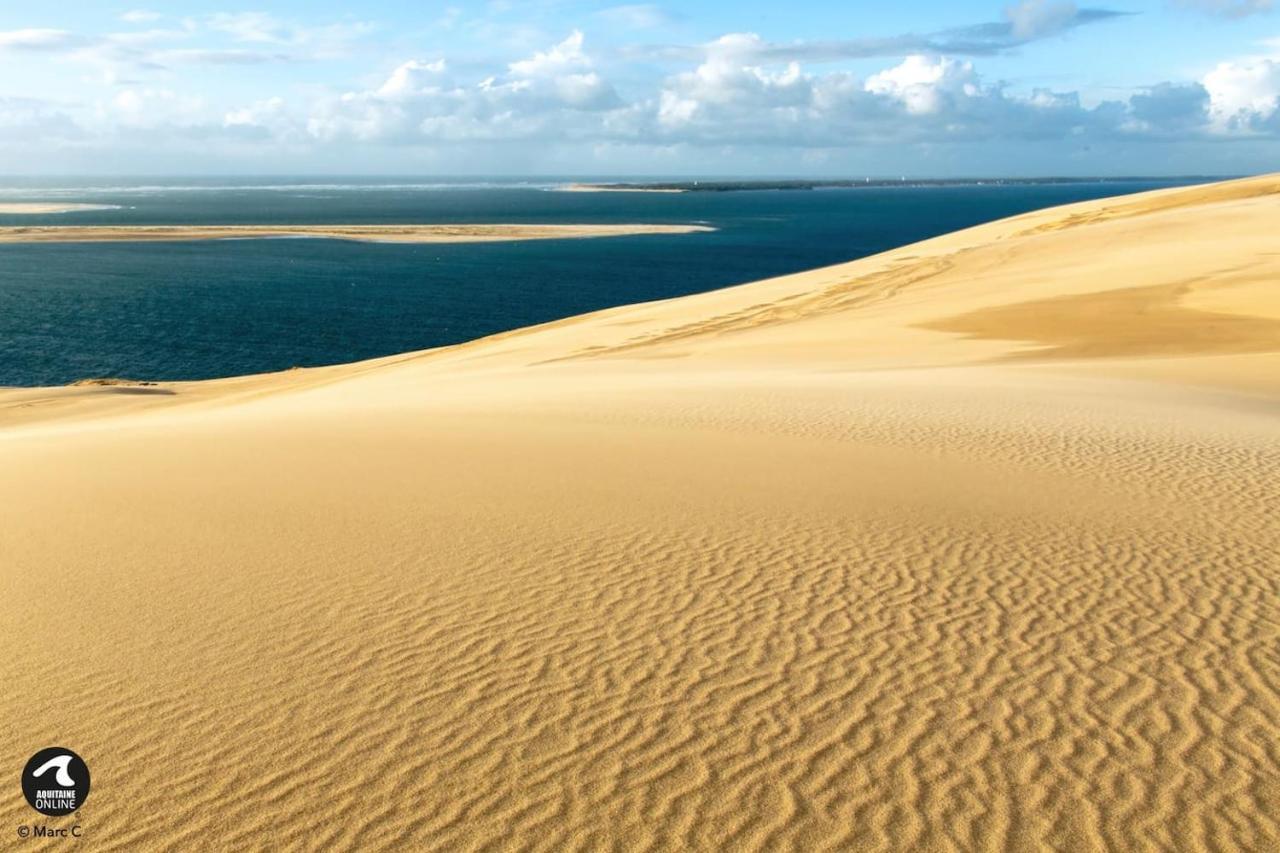 Bel 2 Pieces Proche Arcachon, Et Port Apartment *